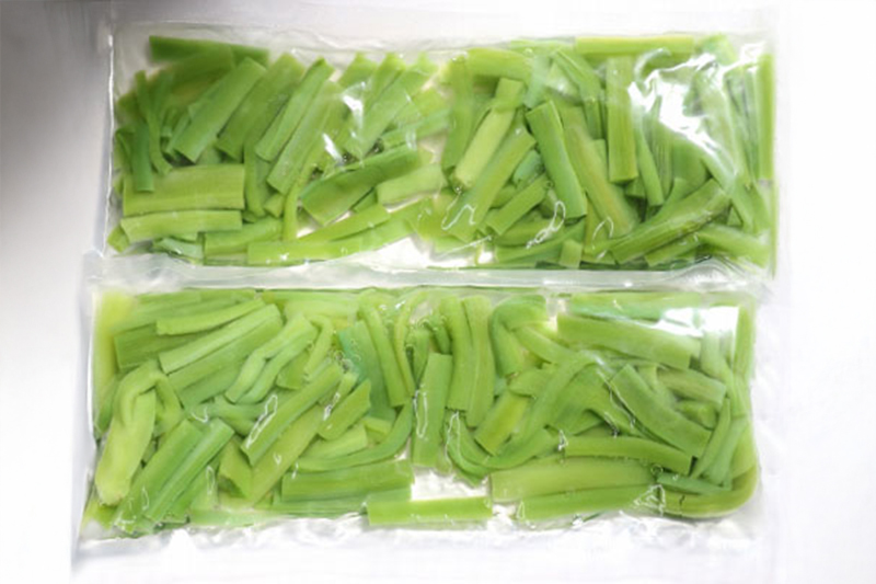 山くらげの画像