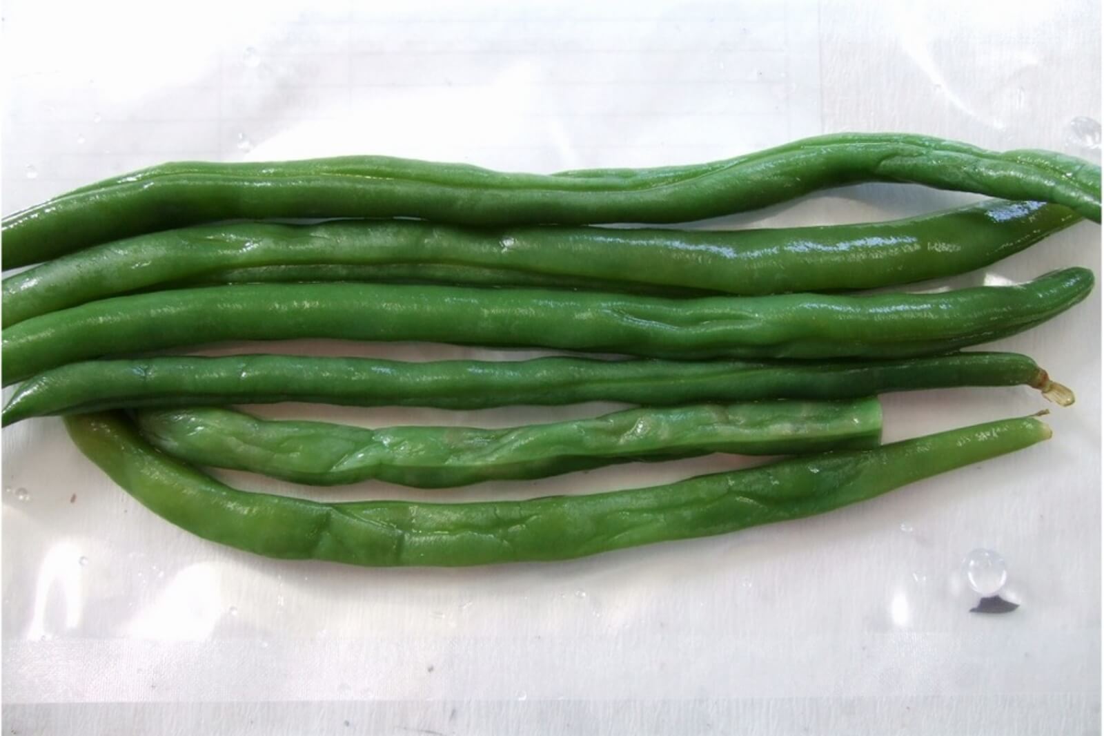 インゲンの塩漬けの再生後の画像