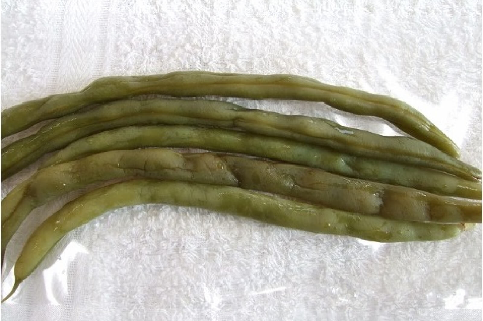 インゲンの塩漬けの再生前の画像