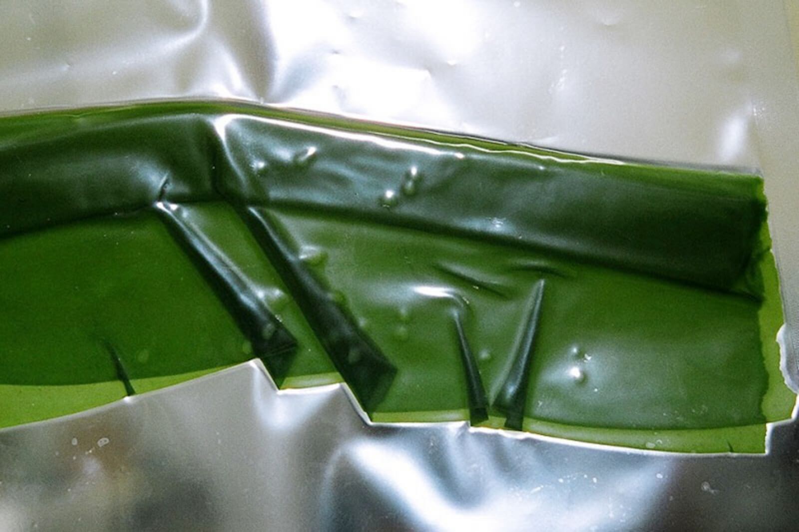 乾燥昆布の再生後の画像