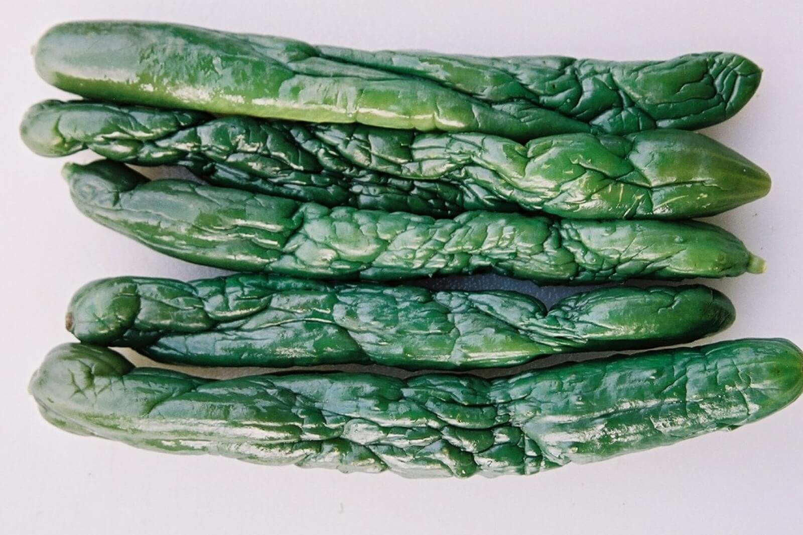 塩蔵キュウリの再生後の画像