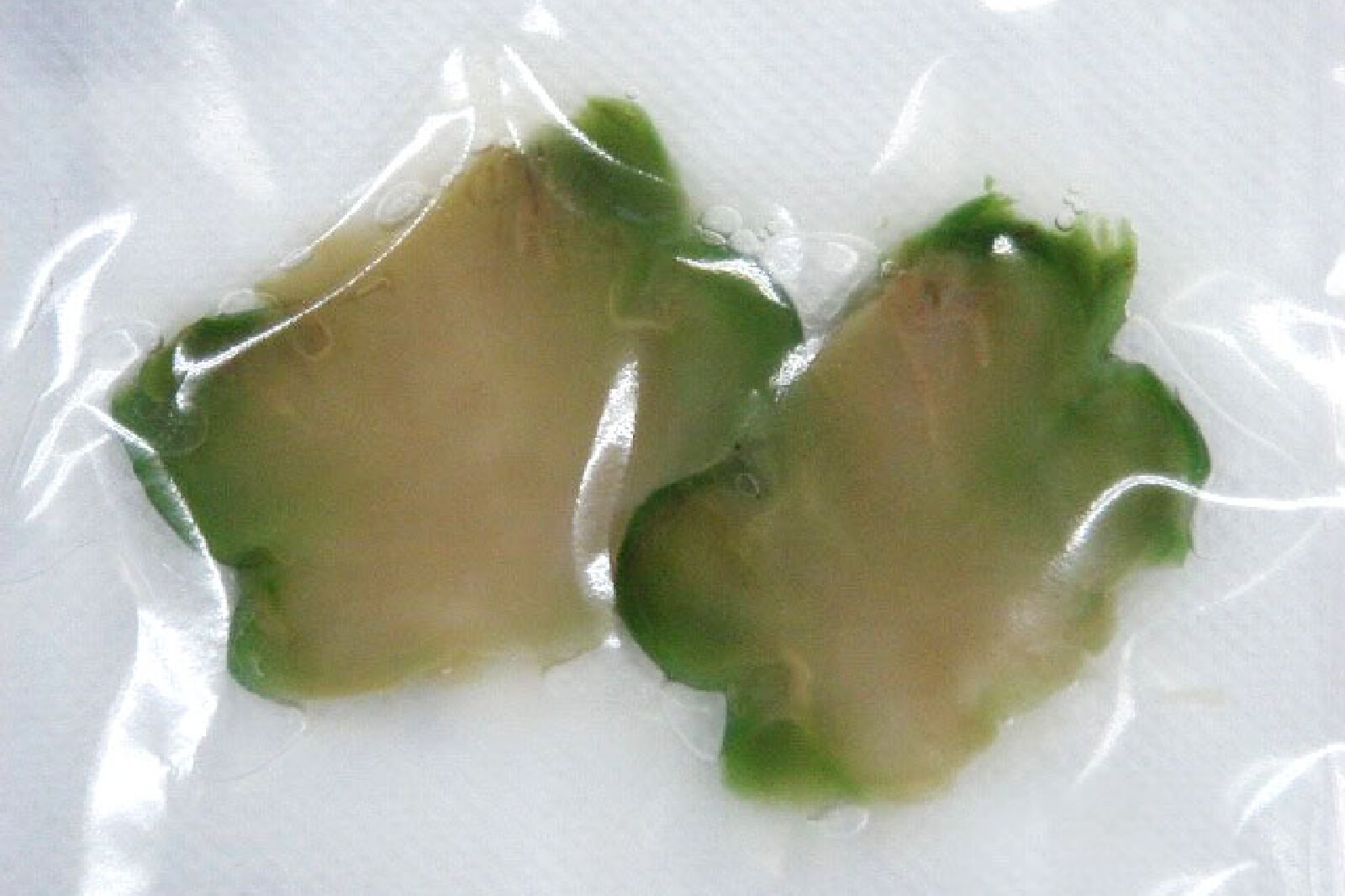 ザーサイの再生後の画像